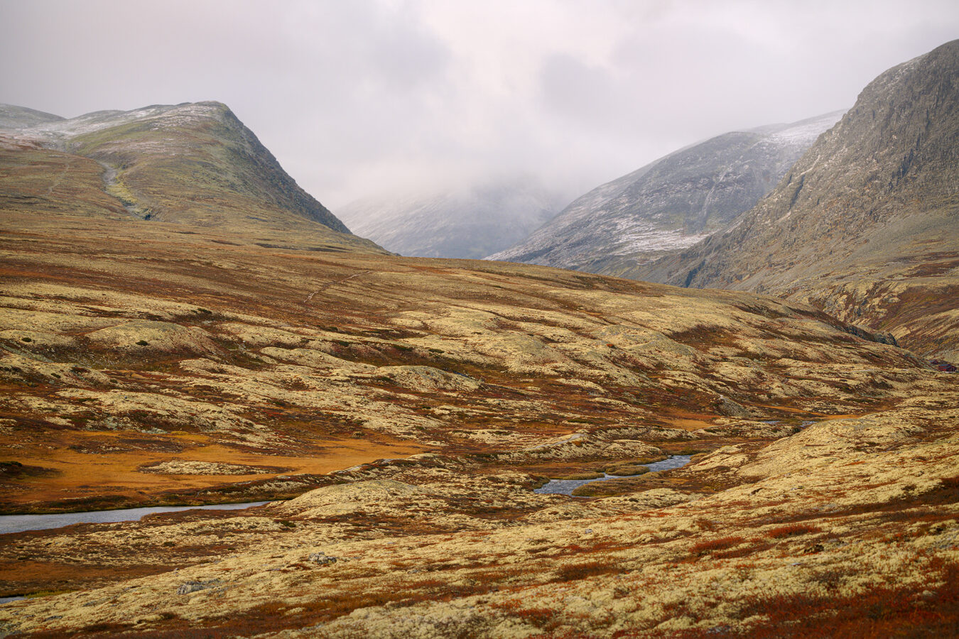 Rondane II